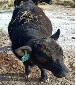 微信圖片_20210513173103