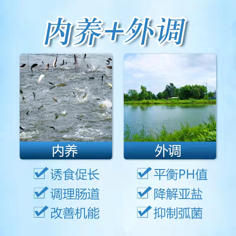 補(bǔ)菌活水-乳動(dòng)力