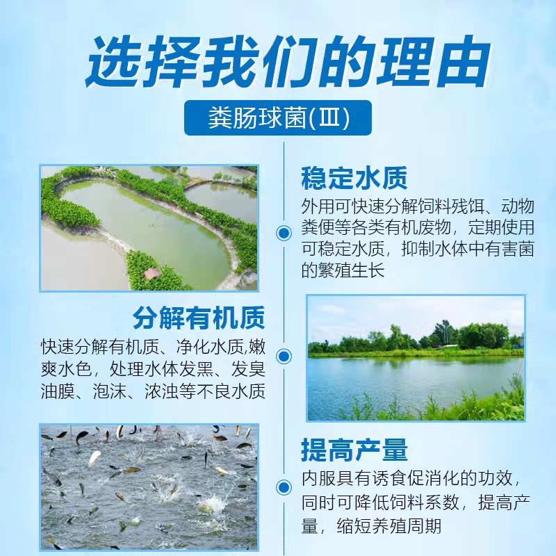 補(bǔ)菌活水-乳動(dòng)力