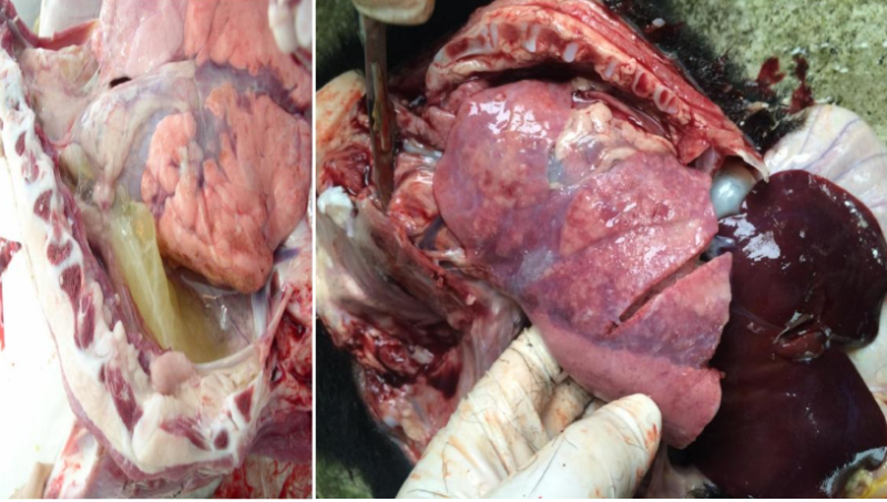 微信圖片_20210716141744