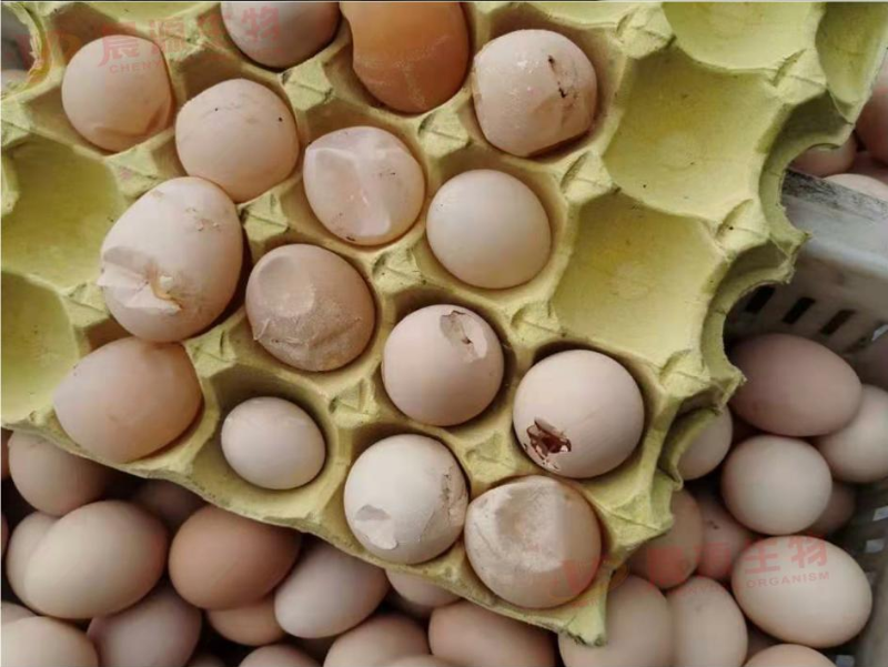 圖片1 - 副本 (2) 圖片1 - 副本 (2)