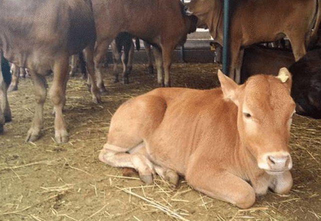 微信截圖_20220331164054 微信截圖_20220331164054